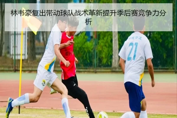 林书豪复出带动球队战术革新提升季后赛竞争力分析